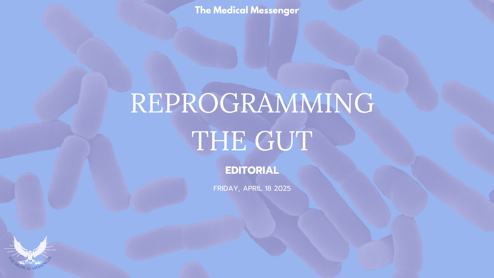 Reprogramming the Gut: Engineered Phages Could Revolutionize Drug Delivery and Health 